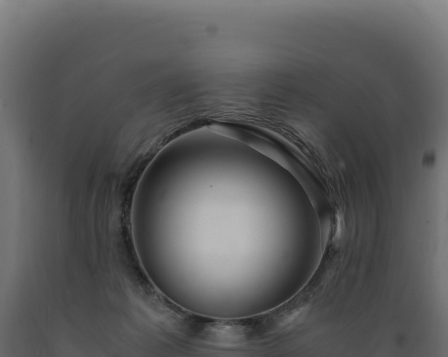 X0000089950221200707061127