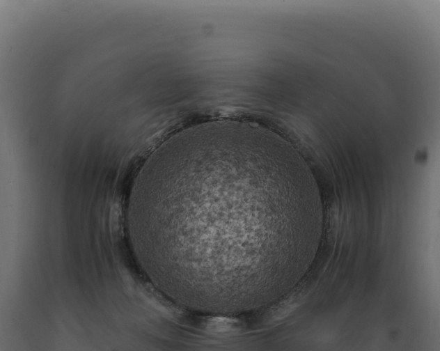 X0000089950222200707061127