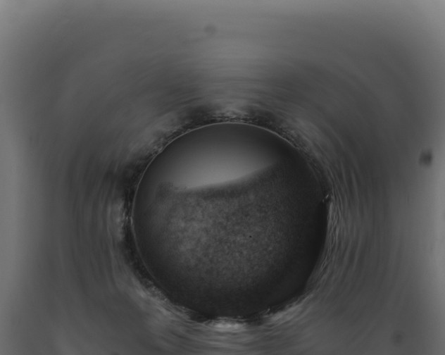 X0000089950223200707061127