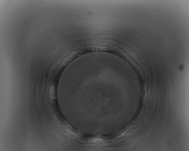 X0000089950224200707061127