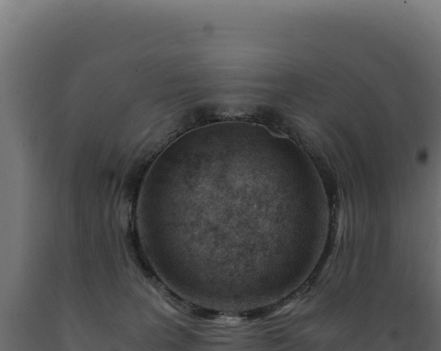 X0000089950227200707061127