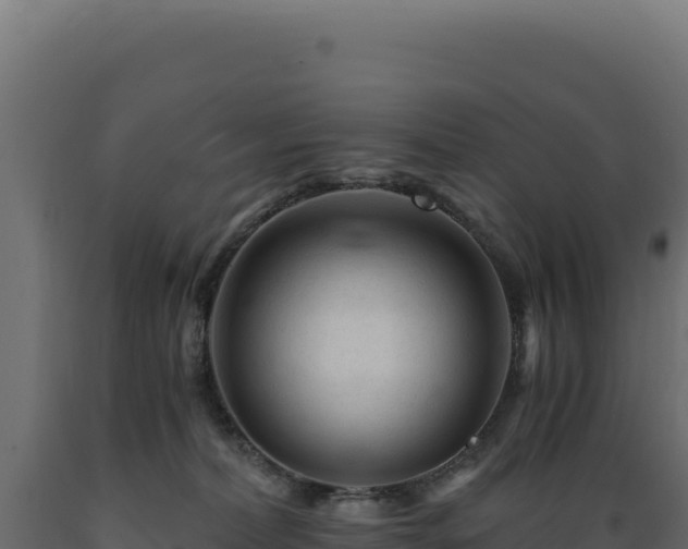 X0000089950228200707061127