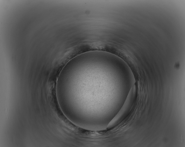 X0000089950229200707061127