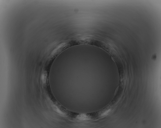 X0000089950231200707061126