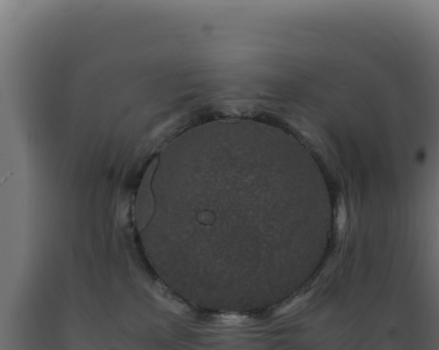 X0000089950233200707061126