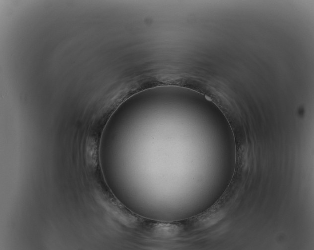 X0000089950234200707061126