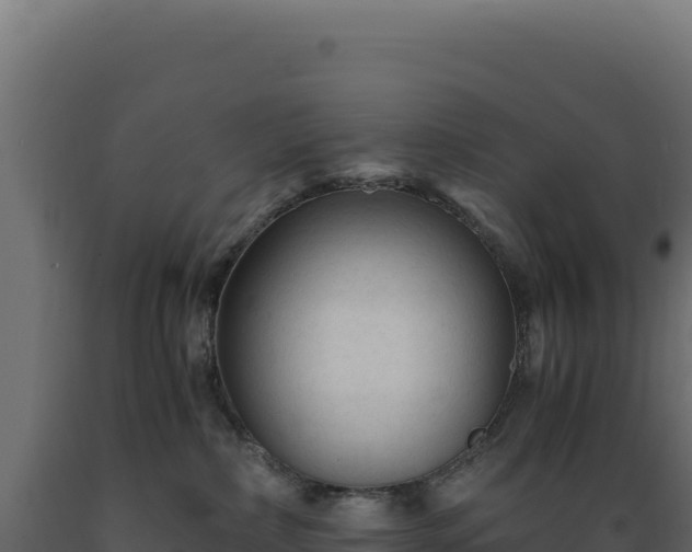 X0000089950236200707061126