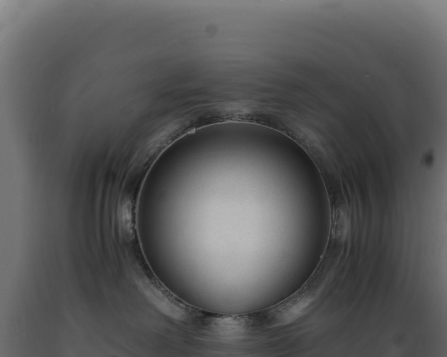 X0000089950238200707061126