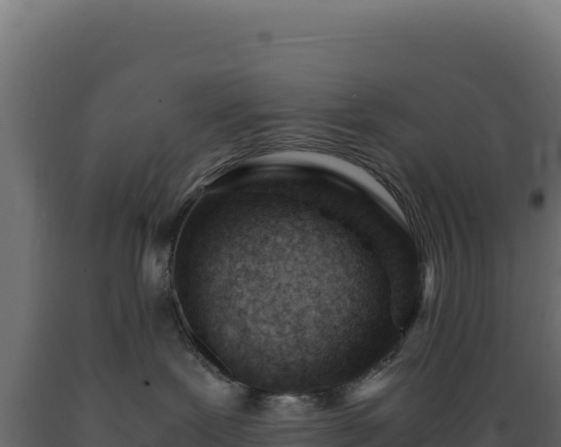 X0000089950239200707061126