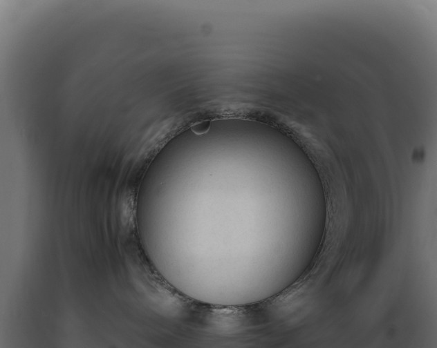 X0000089950240200707061126