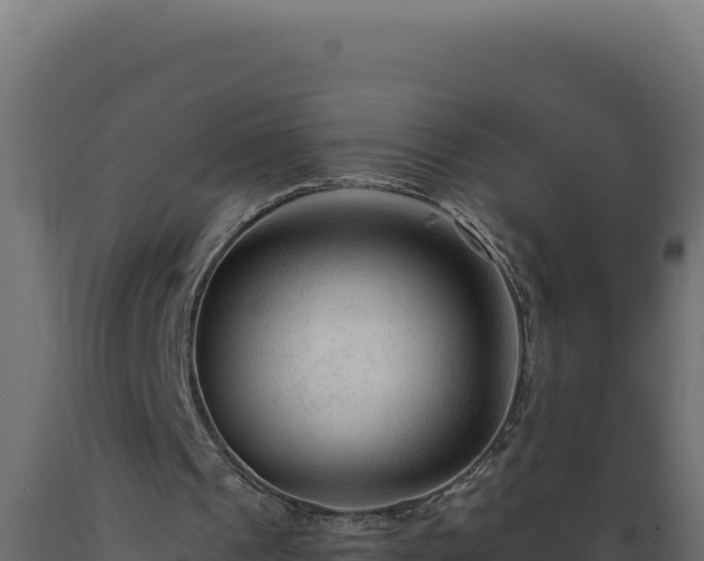 X0000089950241200707061126