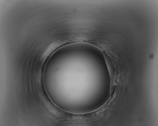 X0000089950242200707061126