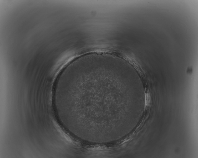 X0000089950243200707061126