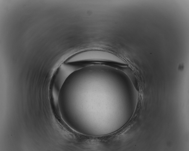X0000089950244200707061126