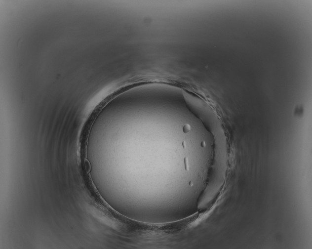 X0000089950246200707061126