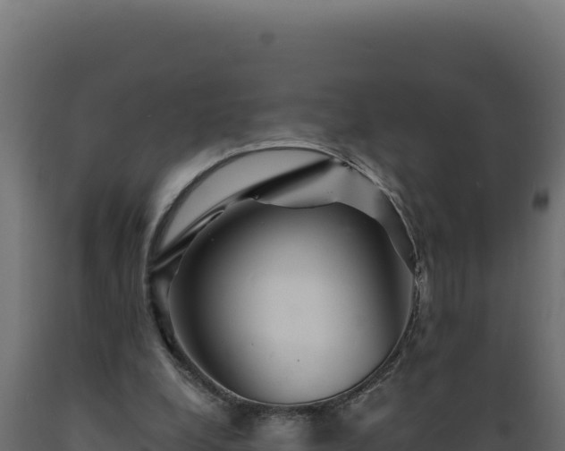 X0000089950248200707061126