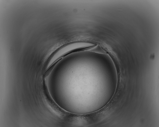 X0000089950250200707061126