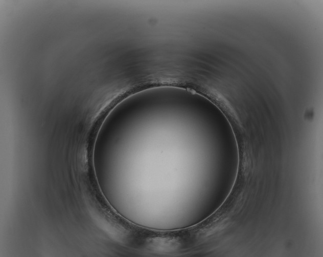 X0000089950251200707061126