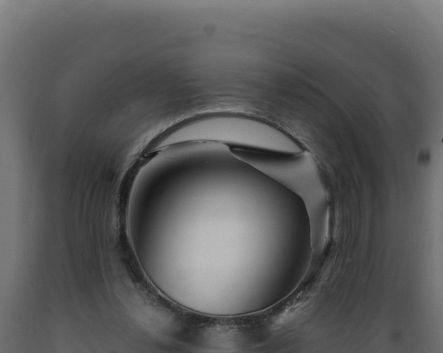 X0000089950252200707061126