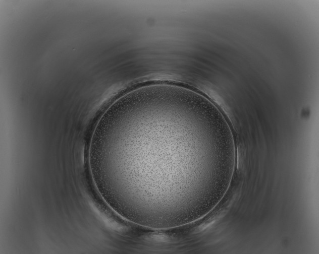 X0000089950253200707061126