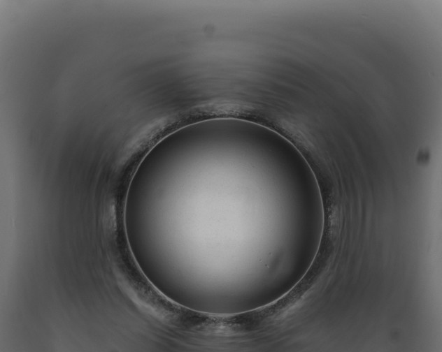 X0000089950254200707061126