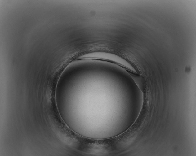 X0000089950255200707061126