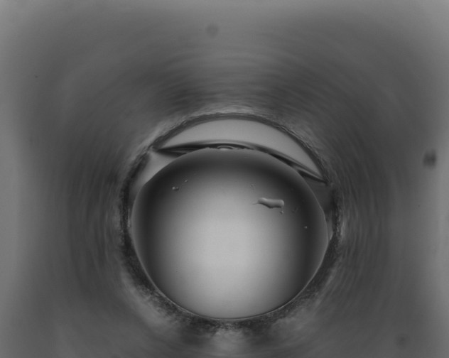 X0000089950256200707061126