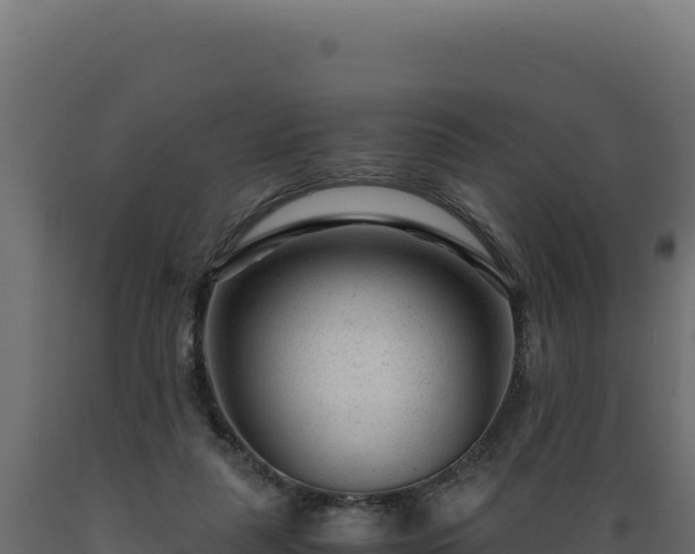 X0000089950259200707061126