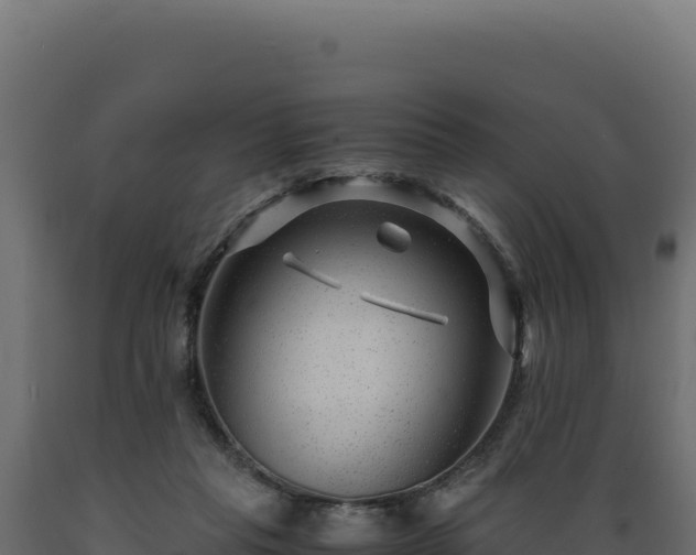 X0000089950261200707061126