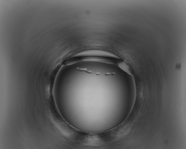 X0000089950262200707061126