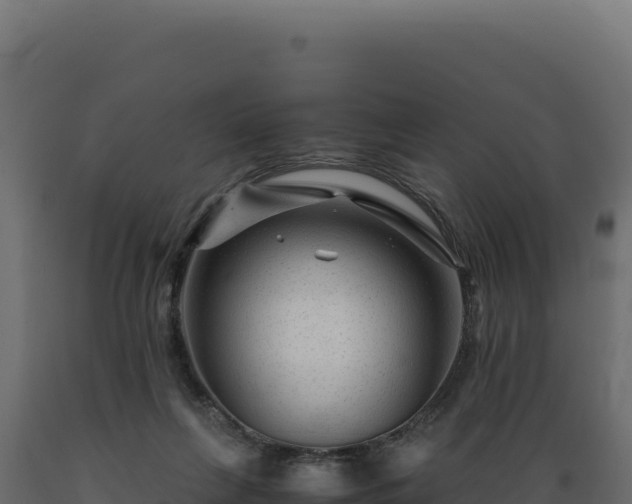 X0000089950263200707061126