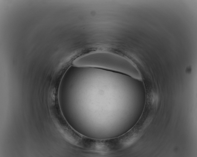 X0000089950264200707061126