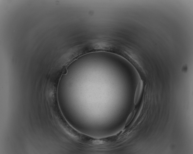X0000089950265200707061126