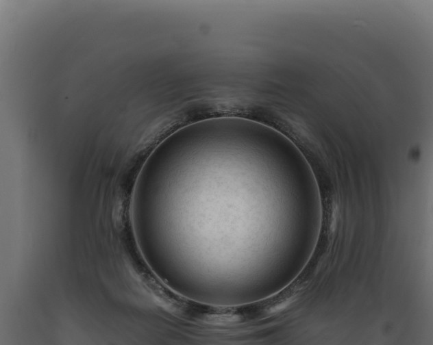 X0000089950266200707061126