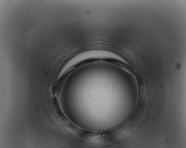 X0000089950267200707061126