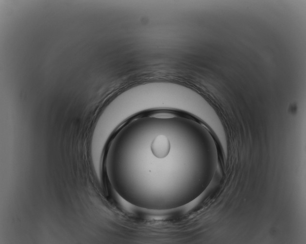 X0000089950268200707061126