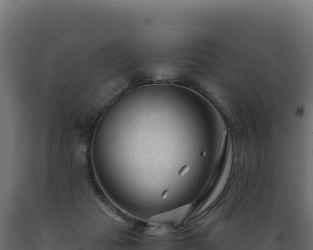 X0000089950269200707061126