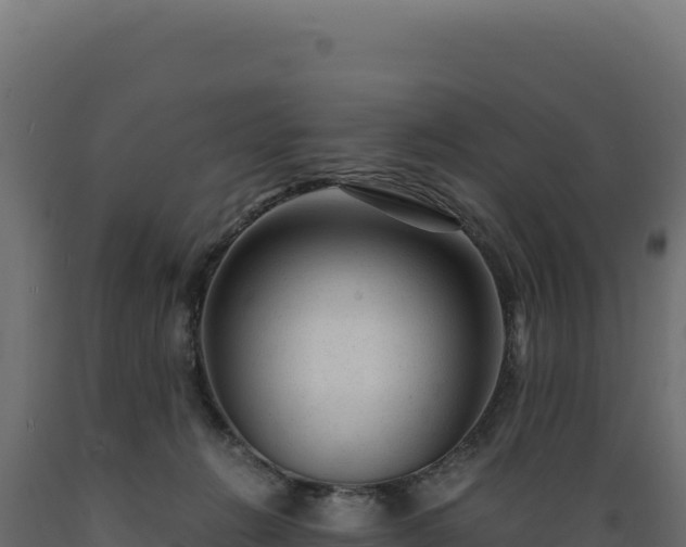 X0000089950270200707061126