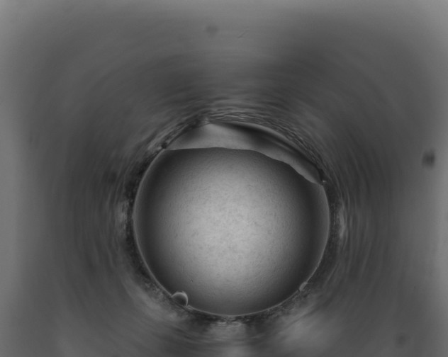 X0000089950271200707061126