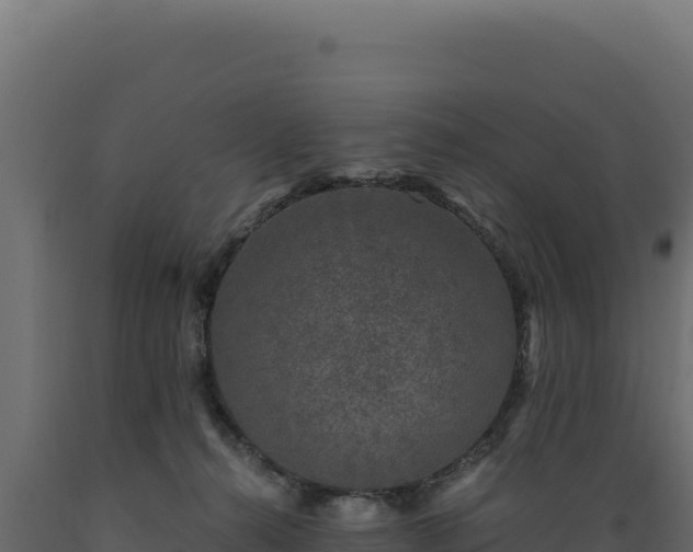 X0000089950272200707061126