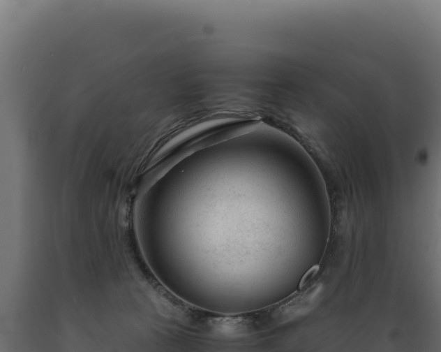 X0000089950273200707061126