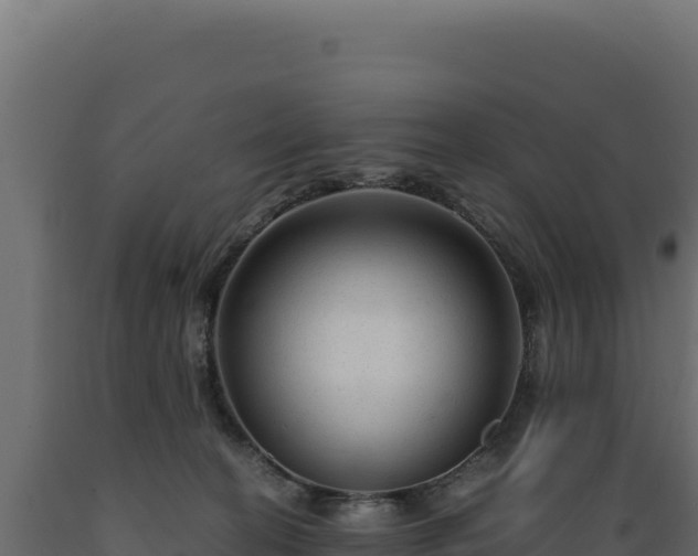 X0000089950274200707061126