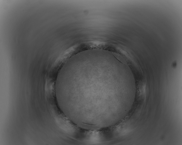 X0000089950276200707061126