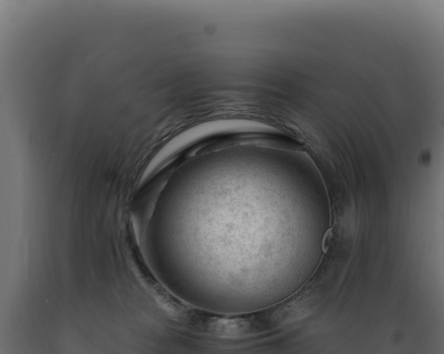 X0000089950277200707061126