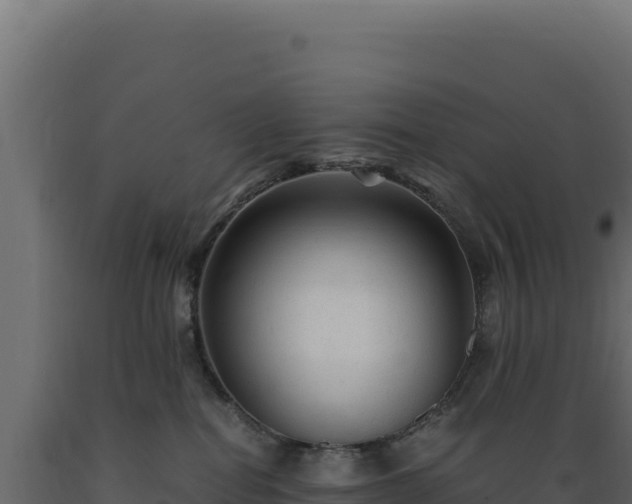 X0000089950282200707061126