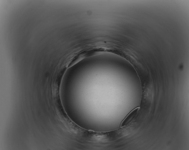 X0000089950283200707061126