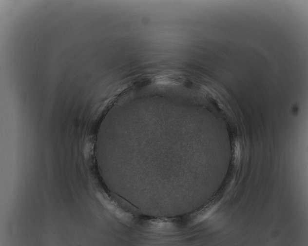 X0000089950284200707061126