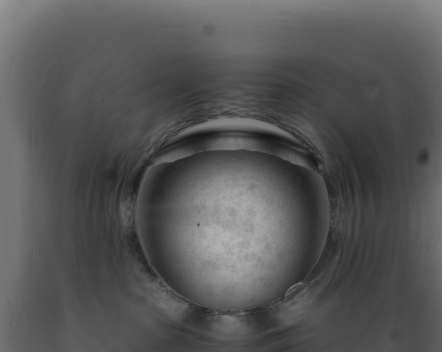 X0000089950285200707061126