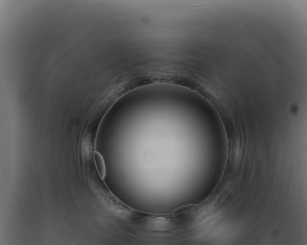 X0000089950287200707061126