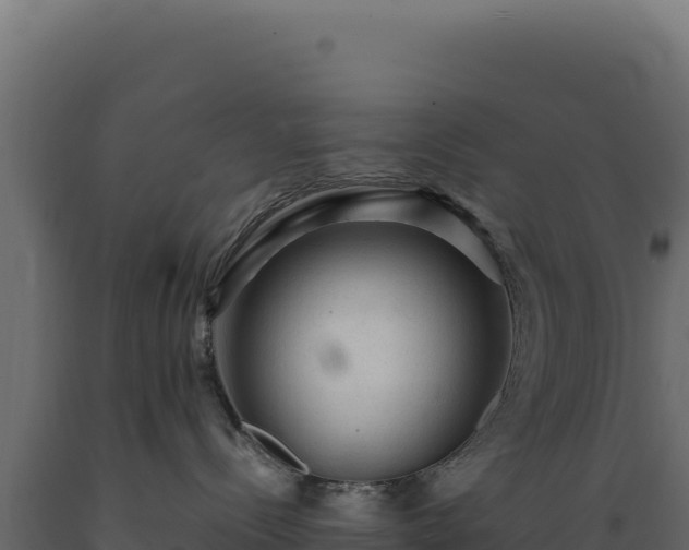 X0000089950288200707061126